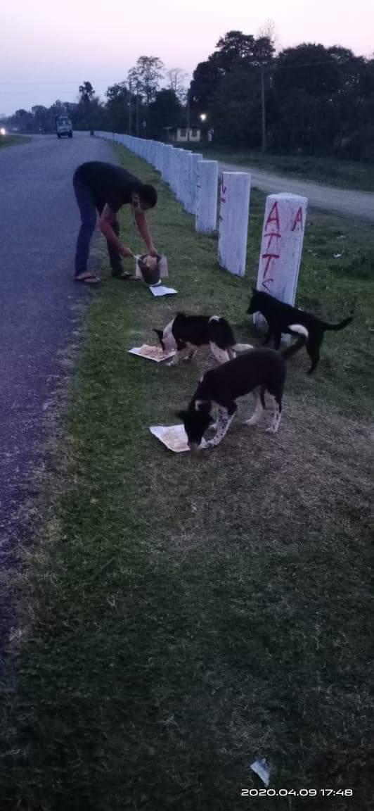 AnimalWelfareP3's tweet photo. #LockDownDay16
Hello tribe, sorry couldn't update you last night as it got a bit late. 😬
So, our members fed around 190 dogs yesterday, yes it's a huge number!
@ANI @pratidintime @diprassam @dibrugarhpolice @Manekagandhibjp @PetaIndia @peta @CMOfficeAssam @himantabiswa https://t.co/B6sF7uSwHM
