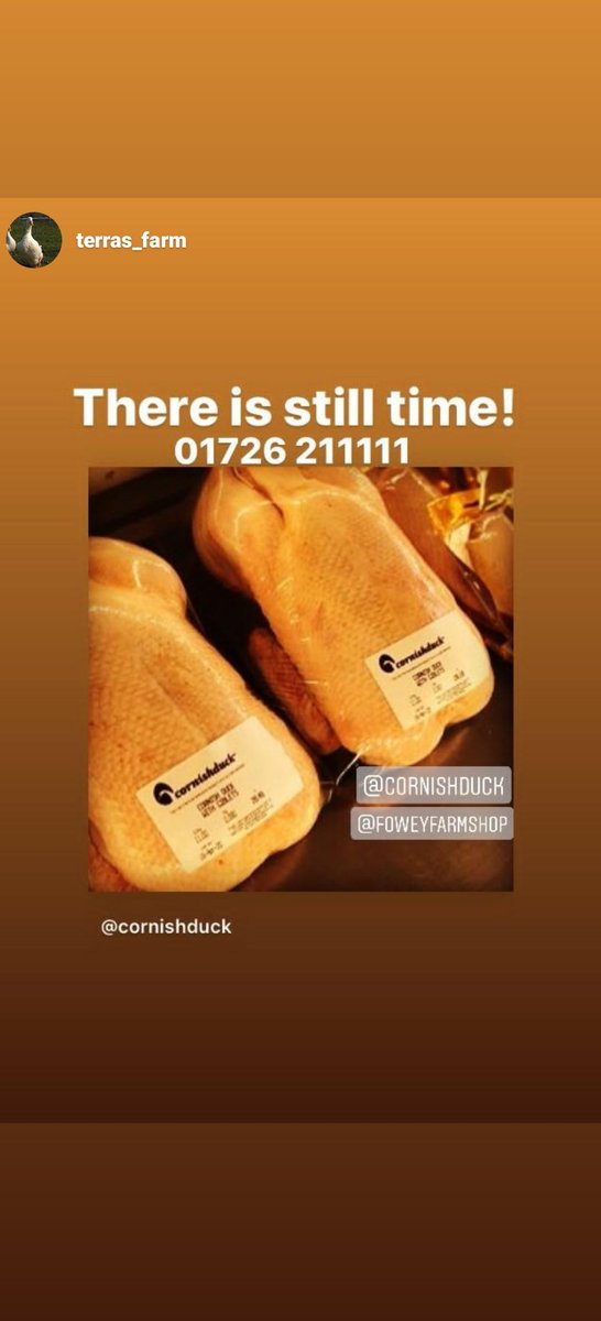 Cornish Duck tweet media