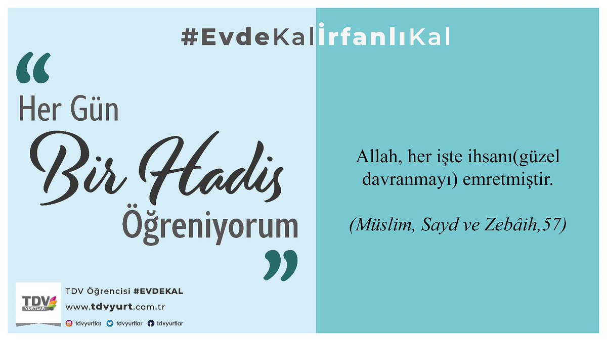 TdvTosya's tweet photo. https://t.co/mWbLmFxvpF