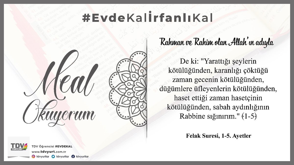 TdvTosya's tweet photo. https://t.co/En0h8Er4m9