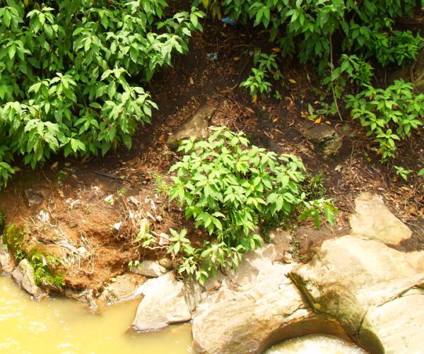 Burned Mud is still seen along the  #Seetha river as a proof that here hanuman set the place on fire #Ramayana