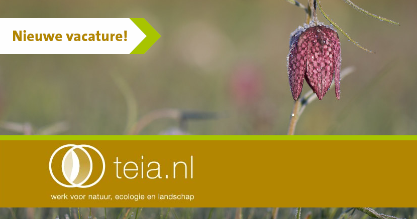 Heb jij een hart voor de natuur in Zuid-Holland? Misschien is een van deze vacatures bij <a href="/ZHLandschap/">Zuid-Hollands Landschap</a> wel wat voor jou! 

- Regiohoofd Kuststreek lnkd.in/gwnyjCf
- Fondsenwerver bedrijven en fondsen lnkd.in/gyVU99u
- Rentmeester lnkd.in/gPCKCYg