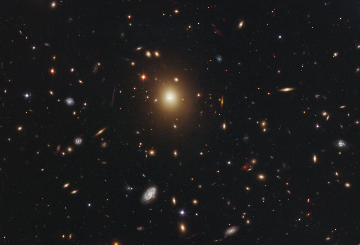 April 17 2011: Galaxy Cluster Abell 2261 -- brightest member of the galaxy in the centerShin Ryujin (2001)