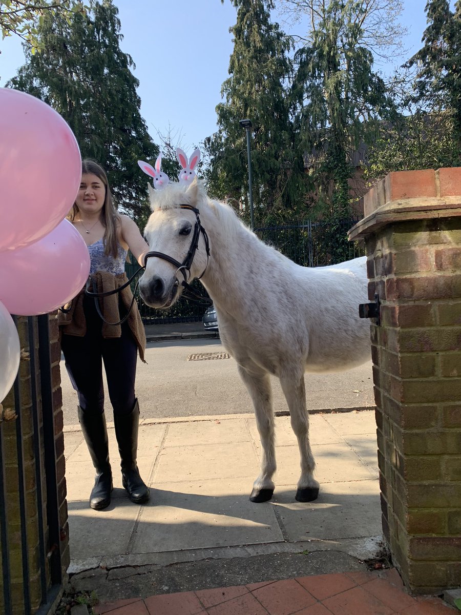 eats_world's tweet photo. What an amazing treat for my little girl’s 2nd birthday, a visit from Whizz the pony. Thank you so much @ParkLaneStables you made her day xx https://t.co/1UkUN9tH0J