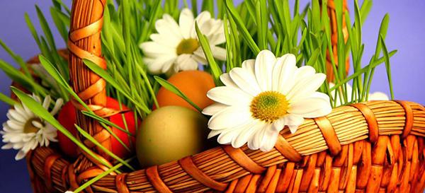 MetroWindowCo's tweet image. Happy Easter - Happy Passover &amp;amp; Our 40th Wedding Anniversary conta.cc/3aZd95M