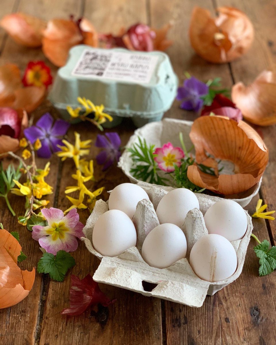 KarenBurnsBooth's tweet photo. Just made this year’s PASCHE (PACE) EGGS - love how pretty he white eggs are! #paceeggs #pascheeggs #eastertraditions https://t.co/26w1JHB9lX