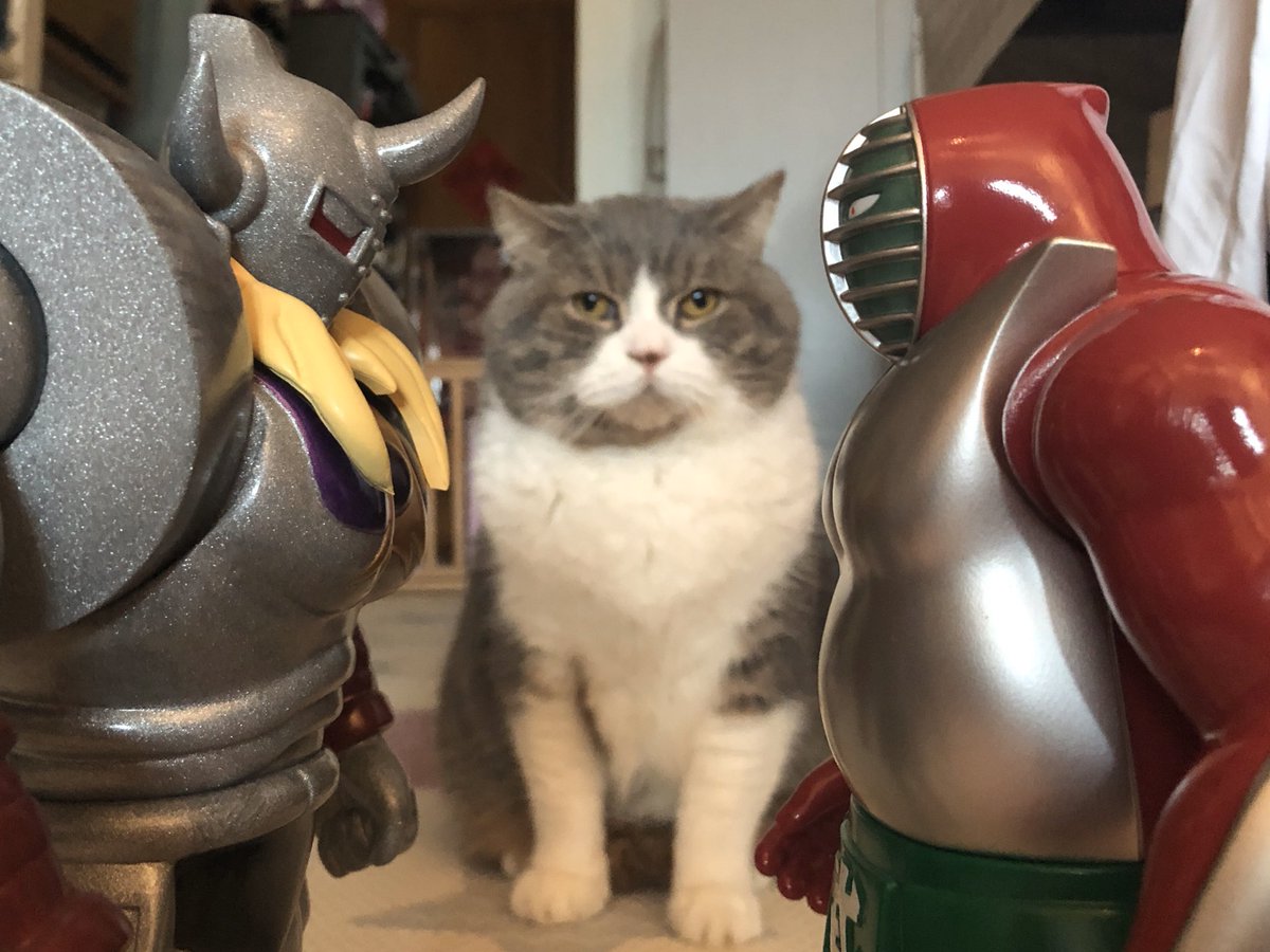 obadem1's tweet photo. 頂上決戰
NSC NEW CHAPTER 惡魔將軍 アニメver  vs
ビッグ・ザ・武道 原作カラー
#キン肉マン 
#キン肉マンアニメ化
#ファイブスタートイ 
#papanewtoys 
#sofbi 
#kinnikuman 
#sofvi 
#sofvitokyo https://t.co/ZceOpHVjqA