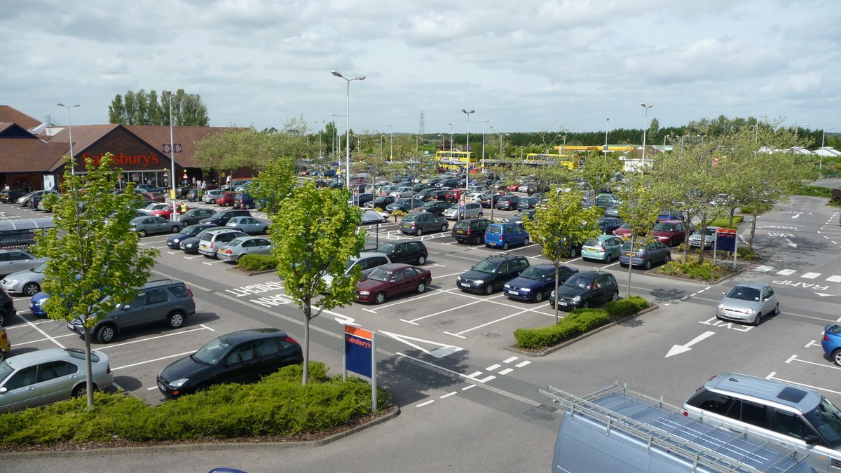 One other plant community that you are able to botanize in these times of lock-down is the supermarket car park, as you stand in line outside, dutifully distancing. I’ll talk you through the species in sequence, starting with those that are easiest to identify.