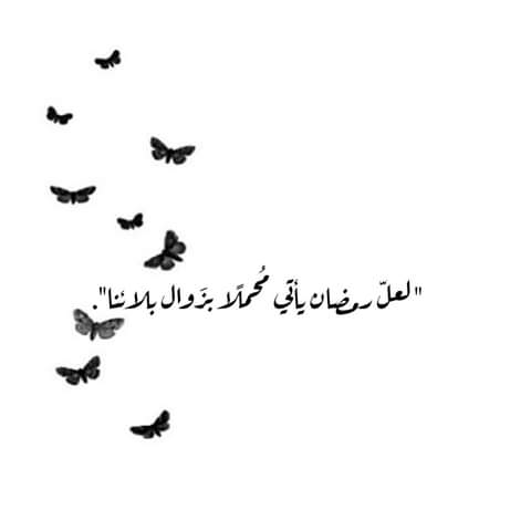 MaaAzzam's tweet photo. https://t.co/BuBoZ5UR4N