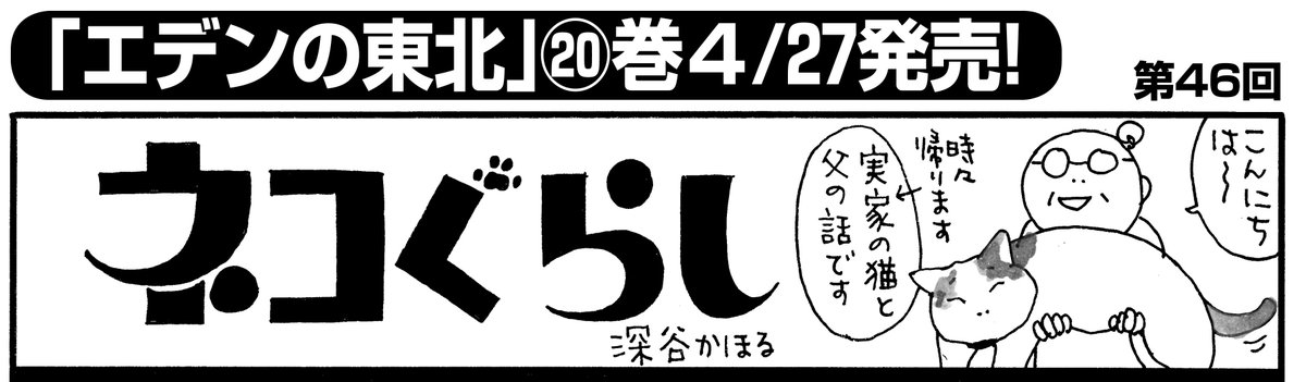 【まんがライフオリジナル5月号 明日発売!】
「#ネコぐらし」(#深谷かほる)
今回は実家の猫すばると、お父さんのお話♪
「エデンの東北」20巻は4月27日(月)発売です! 