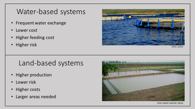 TIFSS_Taiwan's tweet photo. The first article in Column of #Fishery Industry in now on #TIFSS official website!
4 types of #aquaculture system are introduced:
👉Water-based #systems
👉Land-based systems
👉Recycling systems
👉Integrated farming systems.
More info: https://t.co/E6aWvUYucS
#Taiwan #Taipei https://t.co/rcX3lRrVT4
