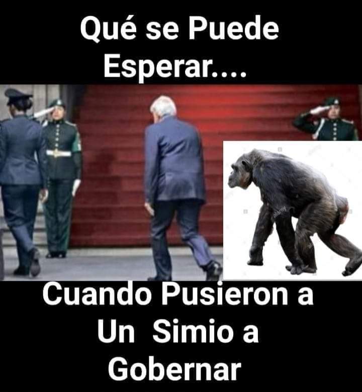 si_aide's tweet photo. @TVale2012 https://t.co/7ZmQnPXpm7