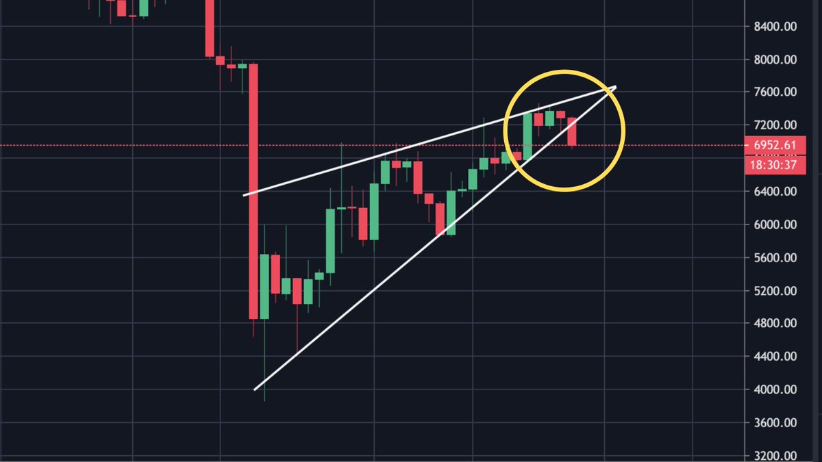 Carl Moon 🌙 tweet media