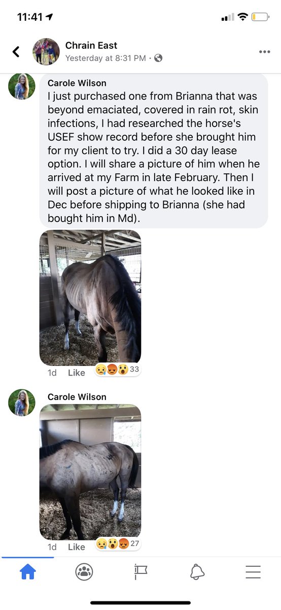 dressagequeenxo's tweet photo. Who the fuck is Brianna Harvey and why is she abusing horses like this? I’m shook at the comments of other people with the same experiences with her! https://t.co/nqEIE56qkl