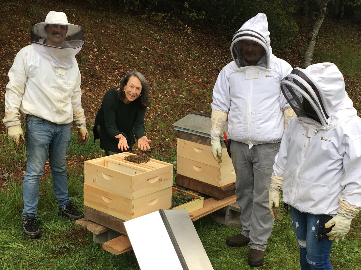 MarimarTorres's tweet photo. Our bee hives are in! Thanks to our good friend & #BeeMaster of #SonomaCounty Steve Karthan, they came in their cages & we placed them carefully in their new homes @ the end of our property, away from neighbors' insecticides. They look great in their colorful wooden boxes! https://t.co/HxFfmTY7TR