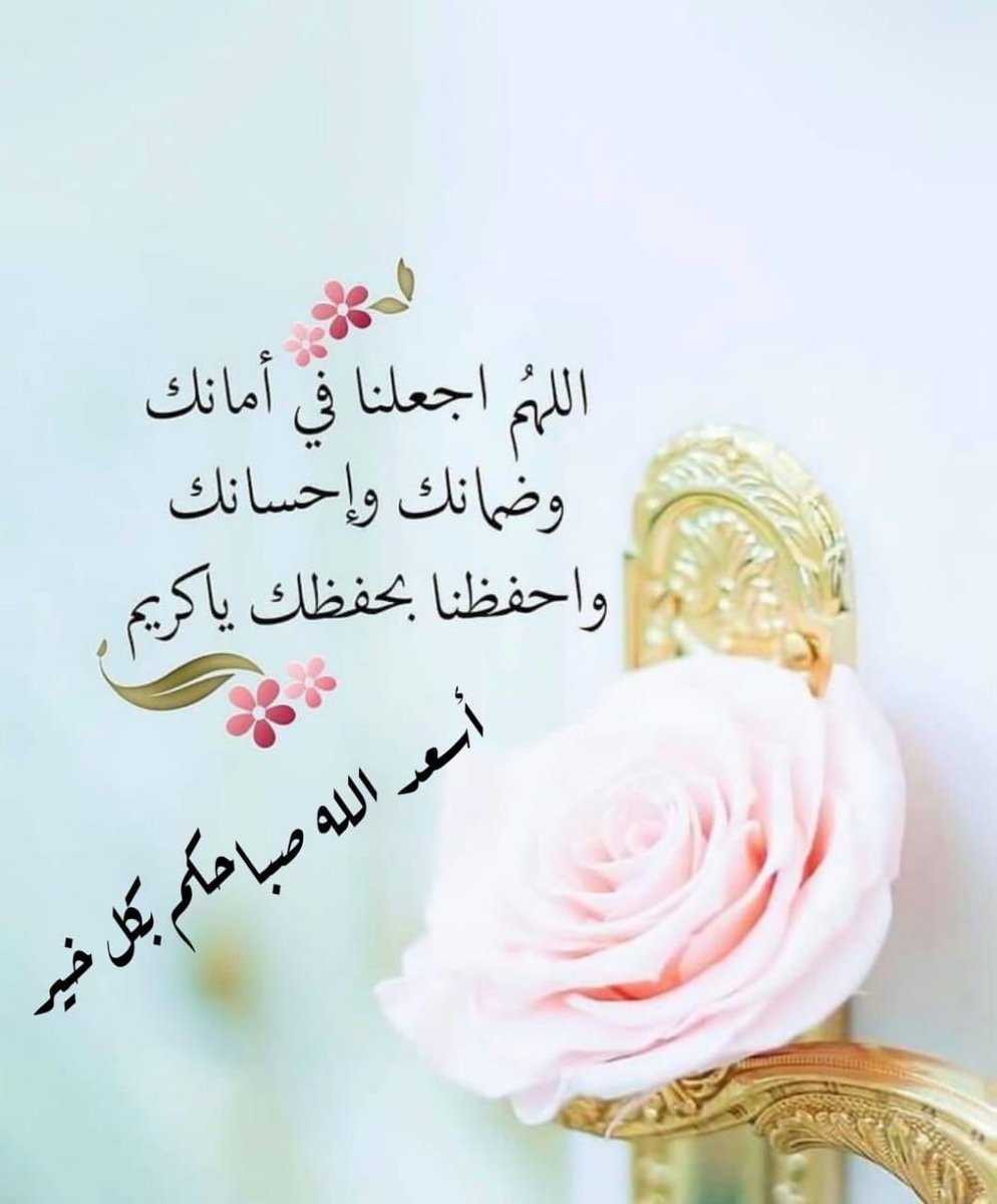 MFO_36's tweet photo. #صباح_الخير https://t.co/hfN83NyPa9