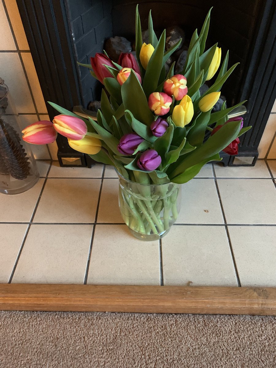 Cava63's tweet photo. @anna69wallo and tonight these were in the shopping my son dropped off for us, I want to cuddle him even more now. I do hope everyone stays home this weekend, I want to see my family ❤️#missingfamily #INeedToCuddle #StaySafe #StayHome https://t.co/ndSMlQs3VV