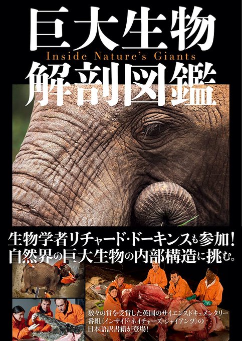 巨大生物のtwitterイラスト検索結果 古い順 巨大生物のtwitterイラスト検索結果 古い順