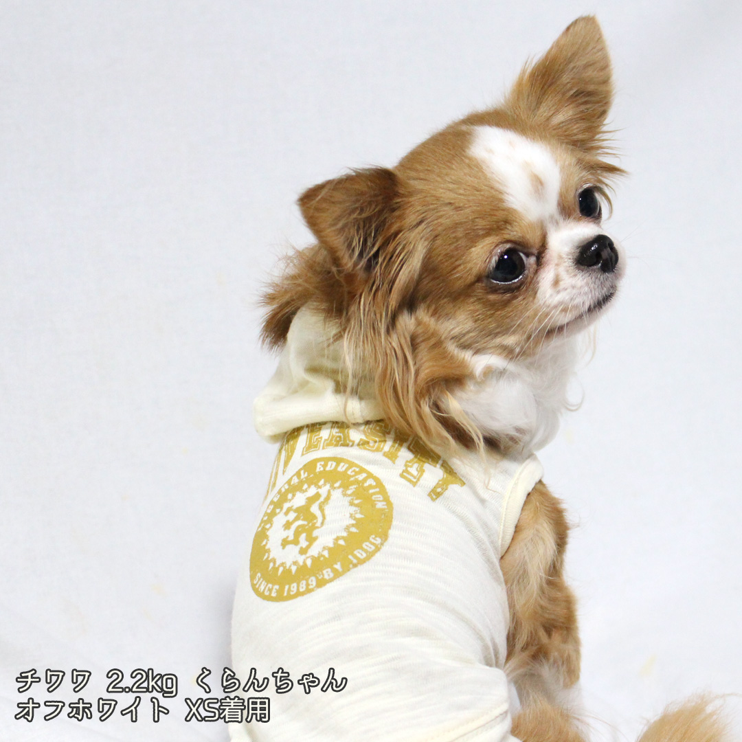犬の服のidog 猫グッズのicat در توییتر カレッジ風プリントのカジュアルパーカー 薄手で古着のようなヴィンテージ感のある素材でサラリと着こなせます 商品番号 133 商品名 Idog Moscape Cool25 カレッジプリントパーカー 2 100円 税抜 オフホワイト オレンジ 犬の服のidog 猫グッズのicat در توییتر カレッジ風プリントのカジュアルパーカー 薄手で古着のようなヴィンテージ感のある素材でサラリと着こなせます 商品番号 133 商品名 Idog Moscape Cool25 カレッジプリントパーカー 2 100円 税抜 オフホワイト オレンジ