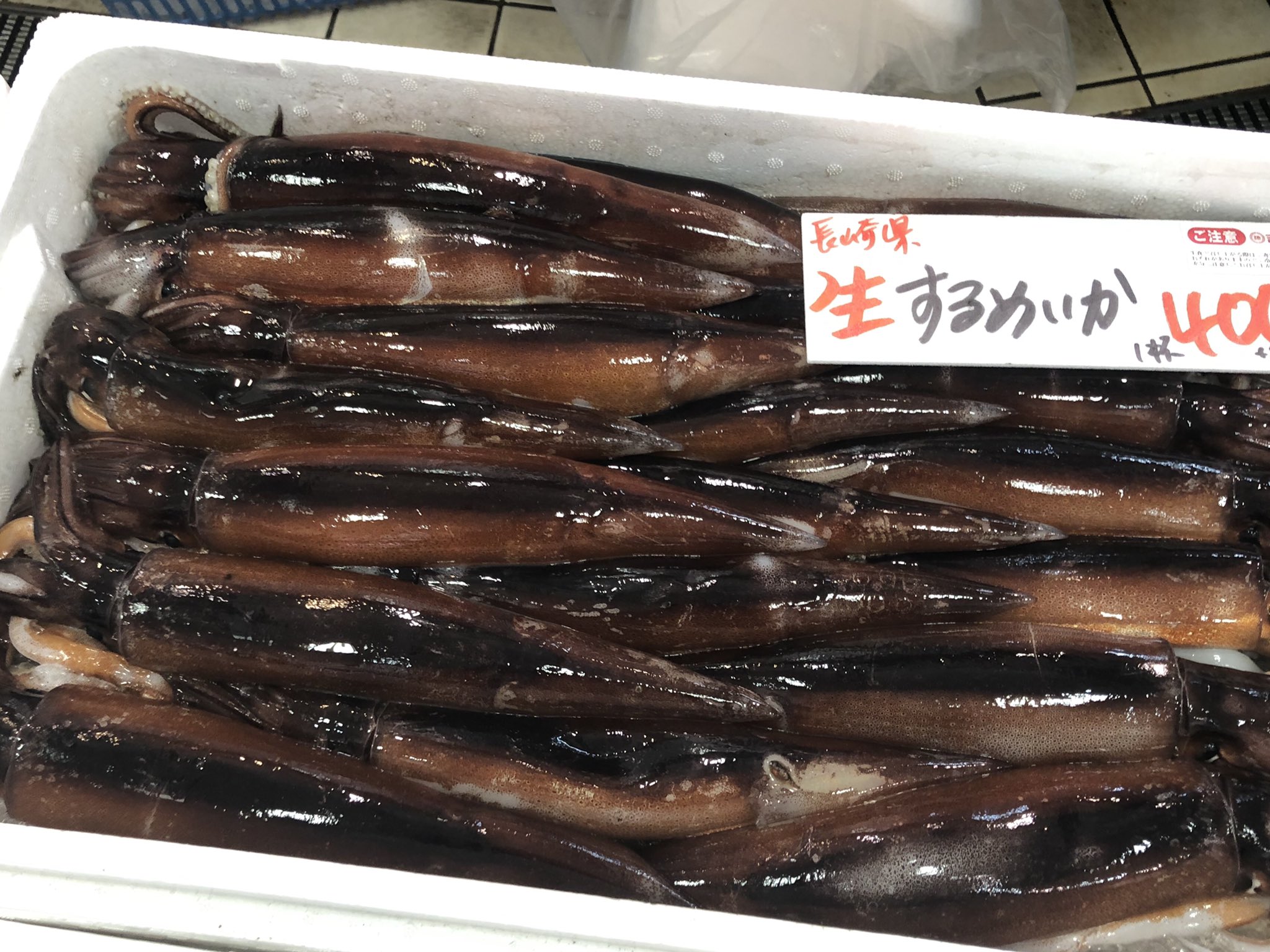 吉池 長崎県産 生 スルメイカ入荷 T Co Rjyxulc5rz Twitter