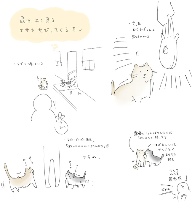 今日のねこちゃん。
良心が痛んだ 