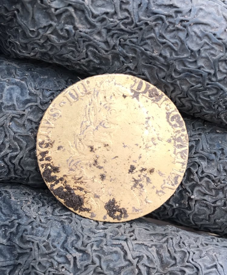 ..I knew straight away that it was a gold guinea. I’d been through my coin book at home enough times to recognise immediately what it was. It literally was a dream come true...