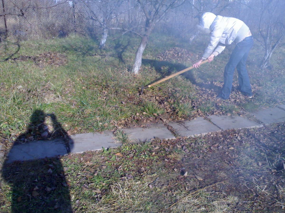 garden_works's tweet image. Садоводство в апреле: завершаем подготовку к сезону

В марте начинаем подготовку к новому сезону, в апреле продолжаем начатые работы. Если март — это «На старт!», то апрель — уже «Внимание!»)
Читать далее... mygardenworks.ru/april/ 🏁

#садоводство #садоводы
#gardening #gardeners