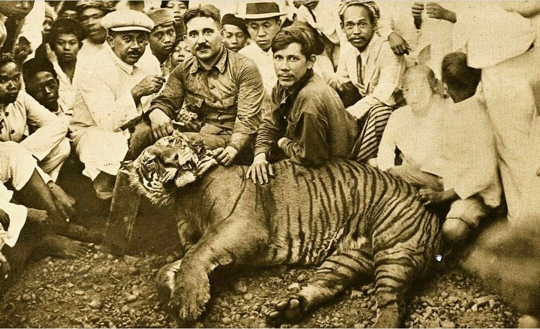 Explr_indonesia's tweet photo. Orang Belanda dan masyarakat sekitar berpose dengan harimau yg ditangkap dari hutan di perbatasan wilayah Garut dan Bandung pada tahun 1920. 
Note: Penangkapan seperti ini yg membuat generasi sekarang tidk pernah melihat Harimau Jawa. 

#sejarah #harimau #ehsan #bandung #garut https://t.co/Gmg47pWgZ6