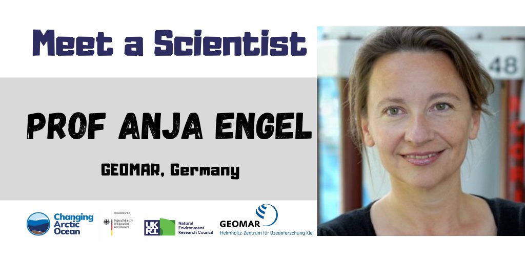 NERC_CAO's tweet image. #MeetAScientist: Anja Engel @GEOMAR_en is co-lead investigator of project #MicroARC

Anja works on biogeochemical processes and microbial carbon cycling at the ocean/atmosphere interface

👉 bit.ly/2TTep0X

@NERCscience #UKinArctic @BMBF_Bund #ArktisImWandel
