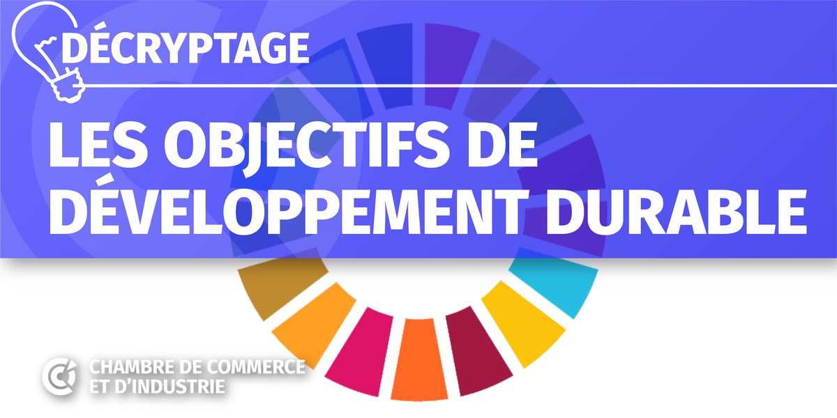 CCI Transitions tweet media