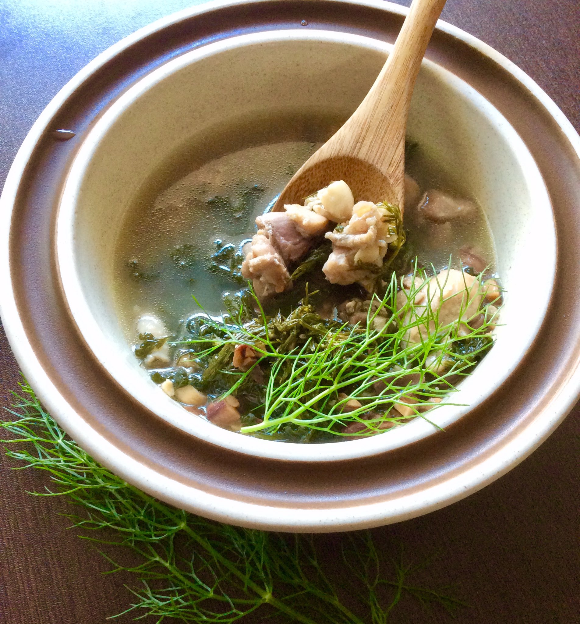 繻 鳳花 栄養たっぷりー な中世ヨーロッパ のスープ試作集 1皿目は14世紀頃のフランス スペイン付近 かも の 鶏肉とフェンネルのスープ です 甘めの香りが特徴のフェンネルは通常魚料理の臭み消しに使うことが多いですが ここではガッツリ煮込んでい