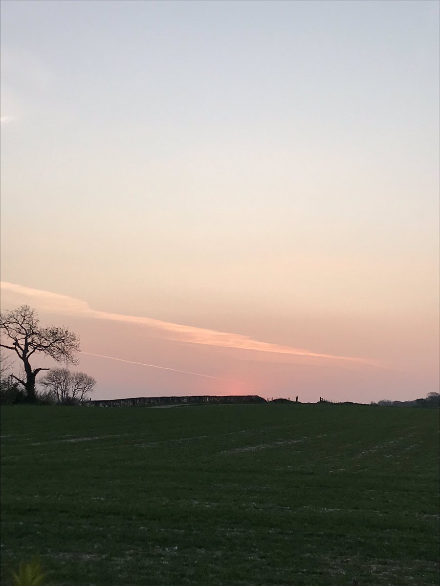 SheilaBailey46's tweet photo. No Schubs today so went out for a #codrun #sunrise only went and smashed my 10kpb by 4mins! In the last 3 weeks I have knocked 12 mins off my 10k #bursting #sohappy #RAW @RunAcademyBN11 https://t.co/4lIXWB0Bie