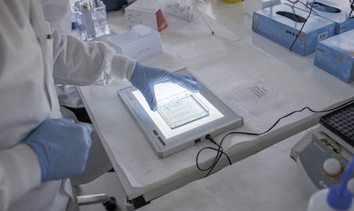 Het ontwikkelen van een coronavaccin is niet eenvoudig. Want hoe test je bijvoorbeeld of het werkt? Een van de methoden waarover wordt nagedacht: gezonde vrijwilligers vaccineren en daarna expres besmetten met het virus om te zien of zij ziek worden:

elsevierweekblad.nl/kennis/achterg…