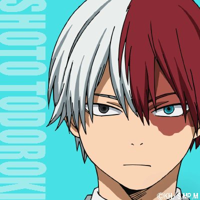 lmao kinda funny that todoroki really thought about winning in the first place