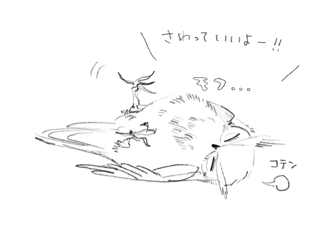 @otitamame そんなまめちゃに………ドラーーーーーーーーッッッッ!!!!!!モフみを投下だーーーーー!!!!!! 