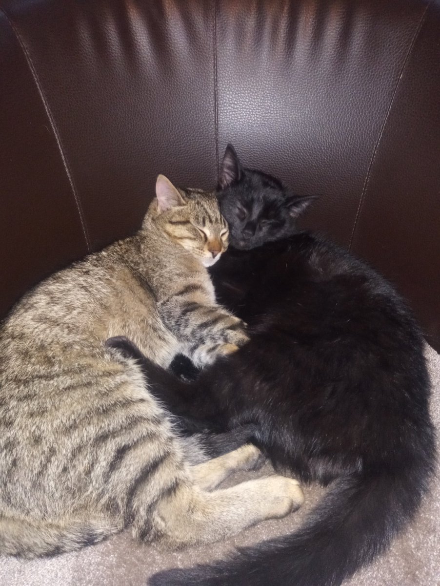 Q@ntum (@qantum89) on Twitter photo 