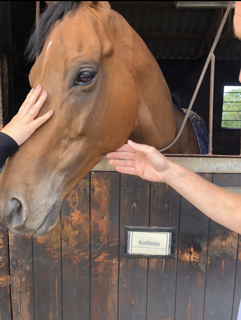 URSAMAJORRACING's tweet photo. ♥️ Free Easter Comp ♥️

I hope everyone is staying safe in these unprecedented times

URSA &amp; @mwalfordracing wanted to give something back and hopefully brighten up someone’s Easter

We are giving away a free share in last years 3 time winner KODIMOOR 

Instructions Below

RT https://t.co/mIlyGW77sB