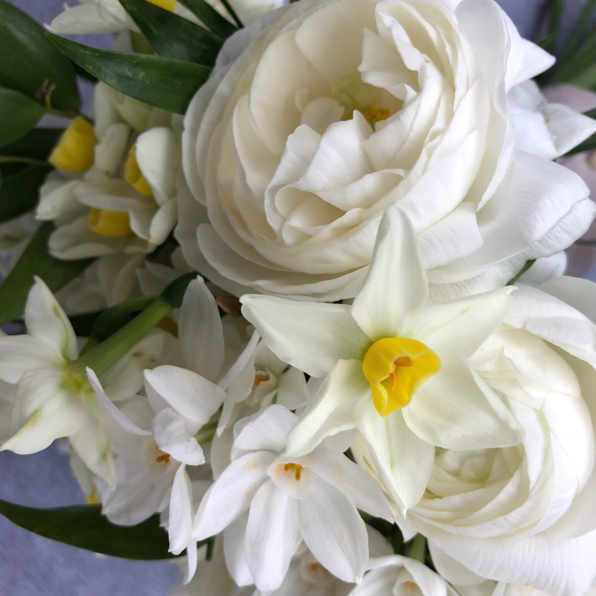 Rose Hamson Flowers tweet media