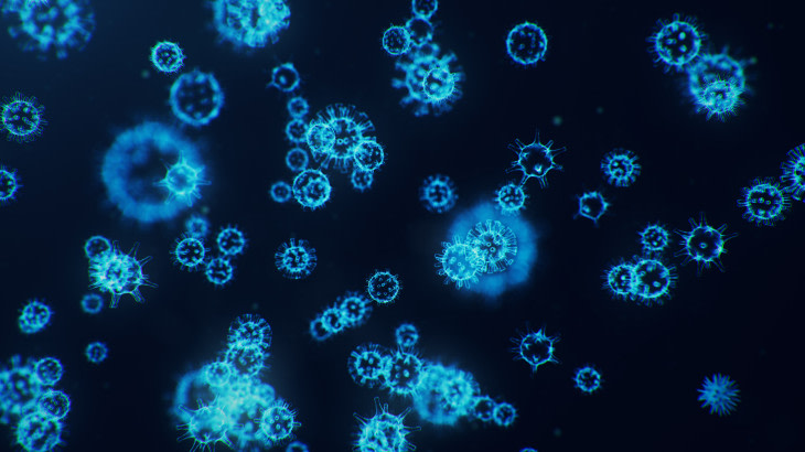 techwirehub's tweet photo. The COVID 19 Search Portal has plenty of options for users to gather insights on variable details. It provides every bit of basic as well as useful information.

#Covid19 #Coronavirus #GoogleSearch #Pandemic #NovelCoronavirus #Cov2 #SarsCov2 https://t.co/Pbj1enRMzR https://t.co/LYDDGxjQbK