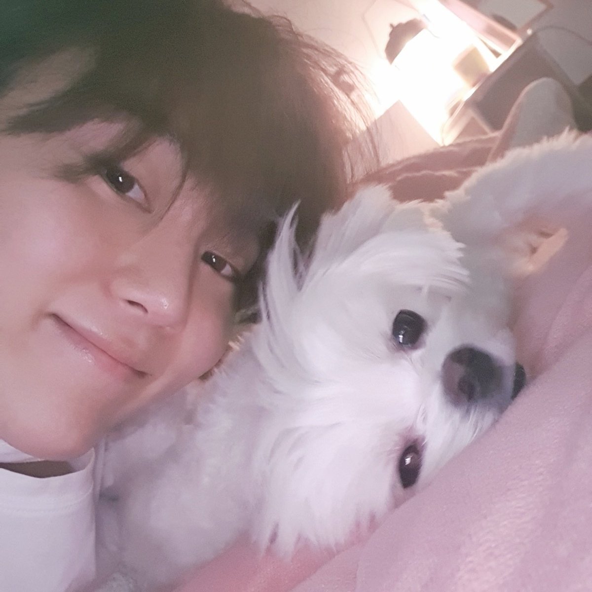 ajurice's tweet photo. 200410 bookeu and a fan
#BOOKEU #SEVENTEEN #세븐틴 #북끄 https://t.co/3XVPsvD7IT
