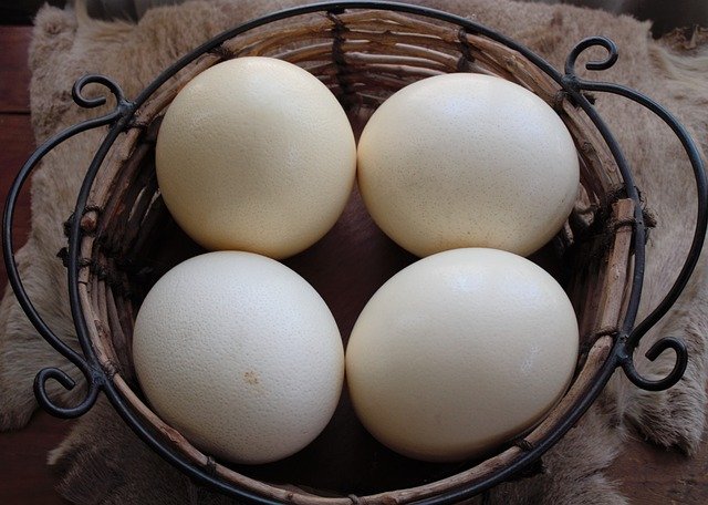 SpallClark's tweet photo. A will has to be in writing but not necessarily on paper. In fact a will can be written on an eggshell (although not advised!) as happened in the case of Hodson v Barnes in 1926.
#funfriday #interestinglegalfacts https://t.co/rhhk0VYfUv