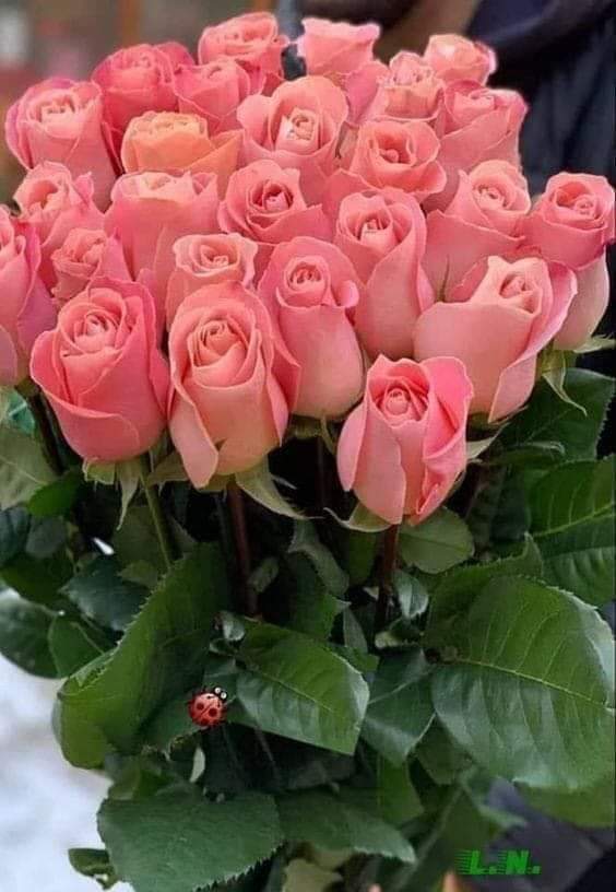 VolschenkGerna's tweet photo. #Goodmorning all my dear #Friends across the world 💞Have a #Beautifulday #Takecare #Staysafe God bless you 🙏Love you all ❤ #HappyGoodFriday 😀😘💛🙏🙏💕🌹💖👫💙😎🎸💚🦋💞👭🕊😇❤ #BlessedEasterWeekend #StayAtHome https://t.co/9z8IoWvZLu