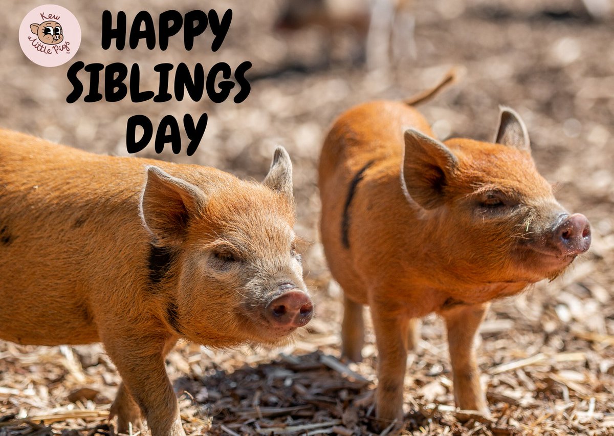 Happy world siblings day! Whether near or far, today is about your brothers and sisters! Have a lovely weekend, enjoy the sun and stay safe! #worldsiblingsday