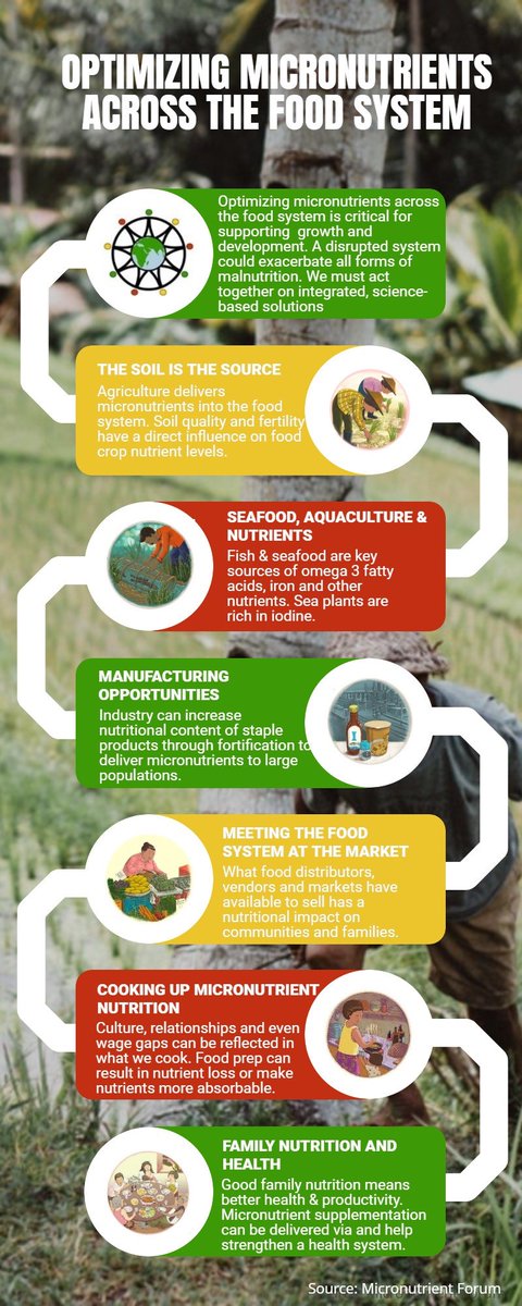 Optimizing #micronutrients across the #foodsystem is critical for supporting growth and development. This infographic illustrates how that can be achieved at every single step. <a href="/MNForum/">Micronutrient Forum</a> #COVID19foodsystems