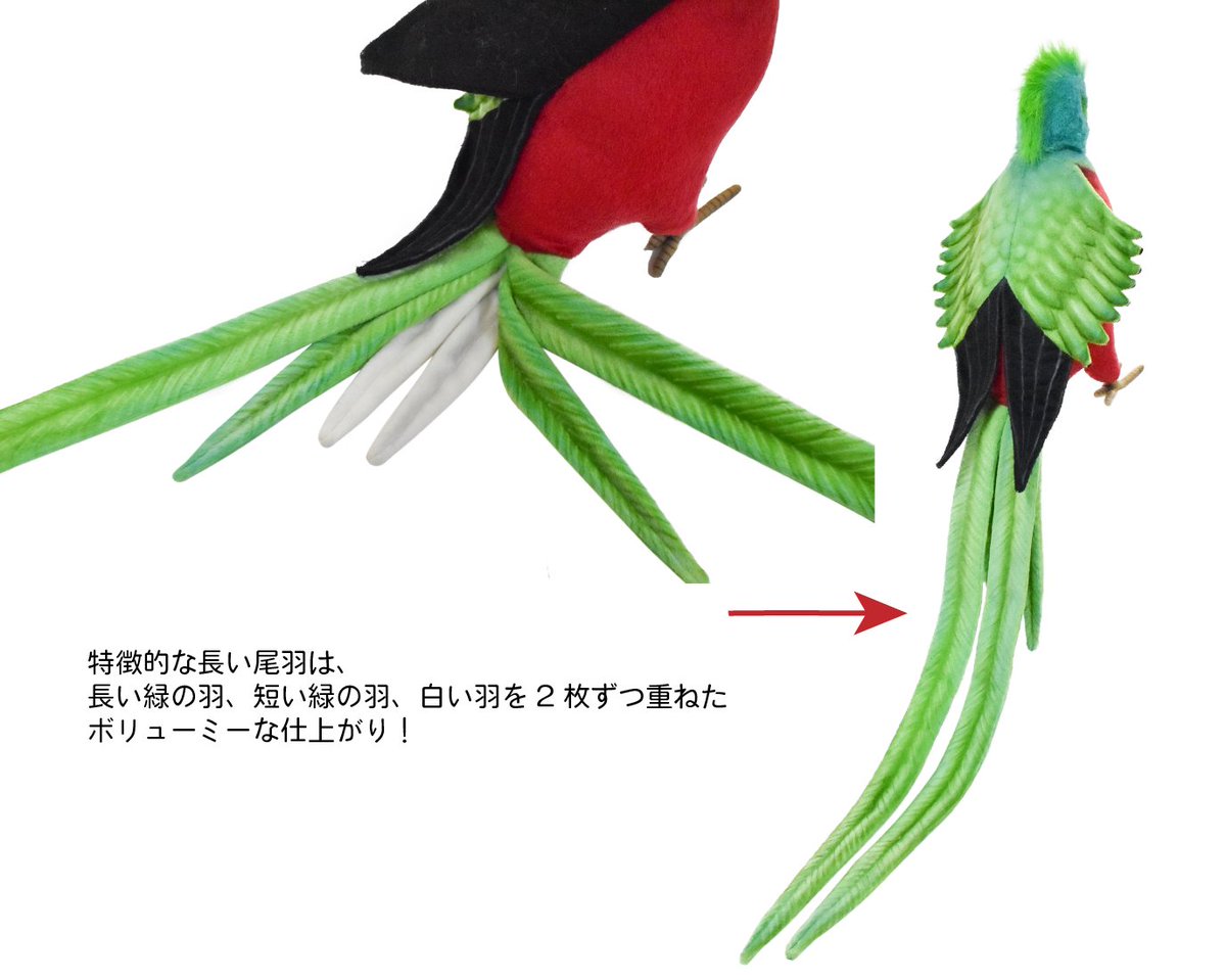 Hansa ハンサ Hansaこの子をぬいぐるみにして 採用商品のケツァール サンプルです 写真はサンプル品のため 実際の製品と仕様が異なる場合がございます 中米に生息する ケツァール はその鮮やかな羽毛から世界で一番美しい鳥の一種とも言われてい Hansa ハンサ Hansaこの子をぬいぐるみにして 採用商品のケツァール サンプルです 写真はサンプル品のため 実際の製品と仕様が異なる場合がございます 中米に生息する ケツァール はその鮮やかな羽毛から世界で一番美しい鳥の一種とも言われてい