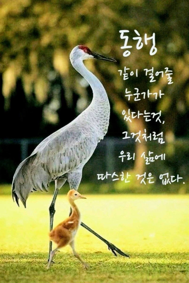 위대한 국민들은
정세분석을 하실줄 안다.
충청도 만이 아니라,
전국 모든 국민들께서는.
이낙연어르신의 말씀처럼,
일할 국회의원이 필요한가?
나라흔들기,
국회 난장판정치,
장외투쟁, 지금도
막말, 험담만 하는 그들,
국민 세금을 축내기만하는
싸움꾼이 필요한가?