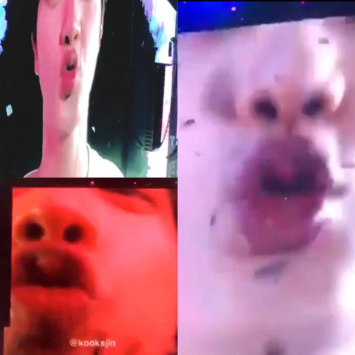 here's a compilation of seokjin kissing the camera during concerts SEOKJIN I LOVE YOU