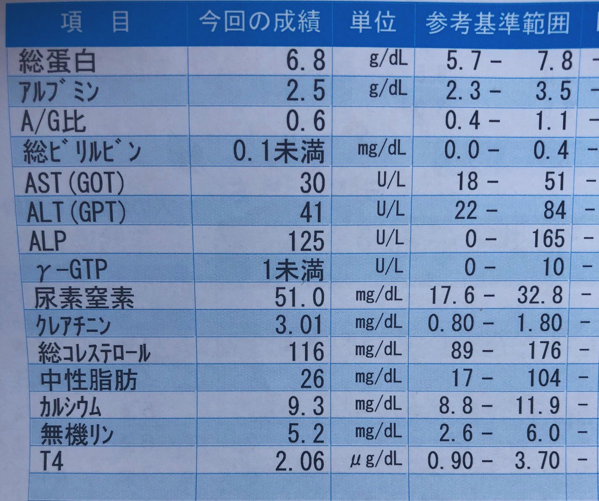 総 ビリルビン 下げる