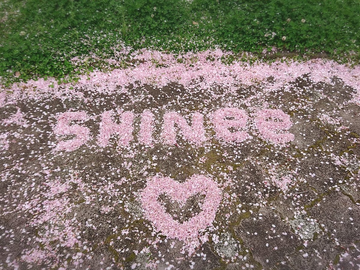 ONEWmyLUCKYSTAR's tweet photo. 旦那が急遽休みになったので、公園に連れてきてもらったら…誰も居なくてww

気がねなく制作できました😆💕
(風と戦いながら💦)

#SHINee 
#5HINee 

一度やってみたかった🤗 https://t.co/qbp6UmoT2D