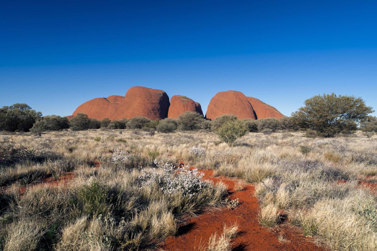 _alicesprings_'s tweet photo. Not far from Uluru you will find Kata Tjuta, or The Olgas, which are just as mesmerising. 

https://t.co/ciaavEw7LX

#alicespringsdotcom #katatjuta #theolgas #uluru https://t.co/MGc4PbVpKY